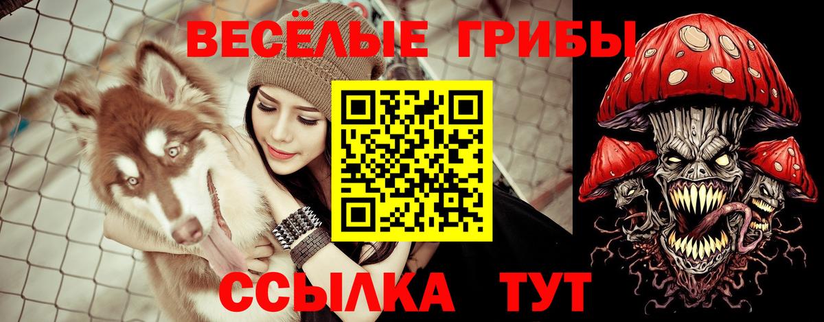 Псилоцибиновые грибы Cubensis Шали