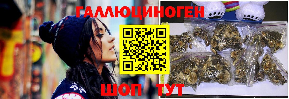 Псилоцибиновые грибы Psilocybine cubensis  Вход с VPN  магазин продажи   Шали 